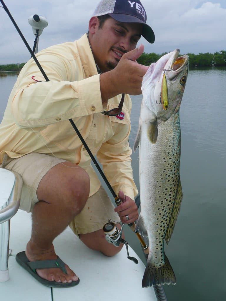 gator trout