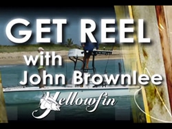 Get Reel Video Blog Main