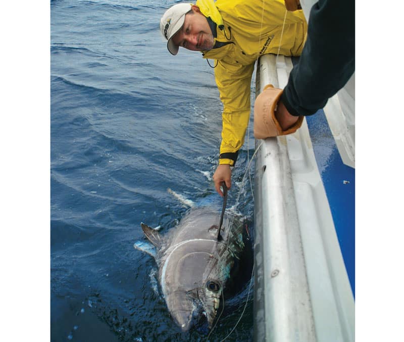 giant-bluefin-boatside.jpg