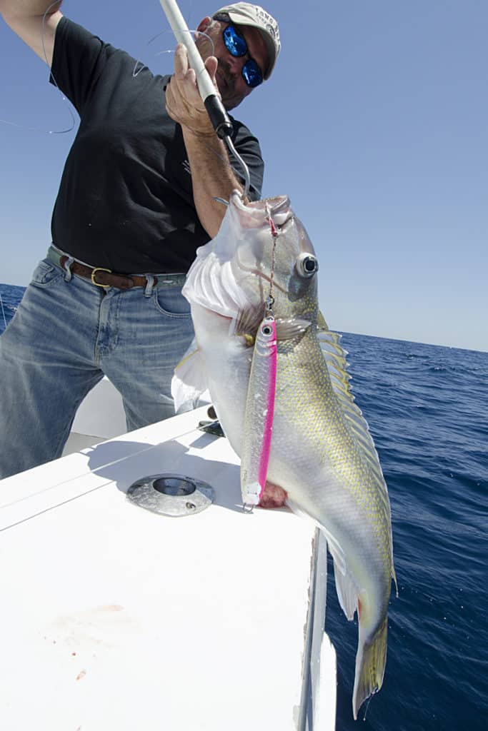 golden tilefish