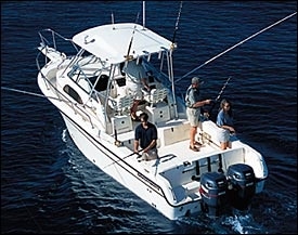 www.saltwatersportsman.com