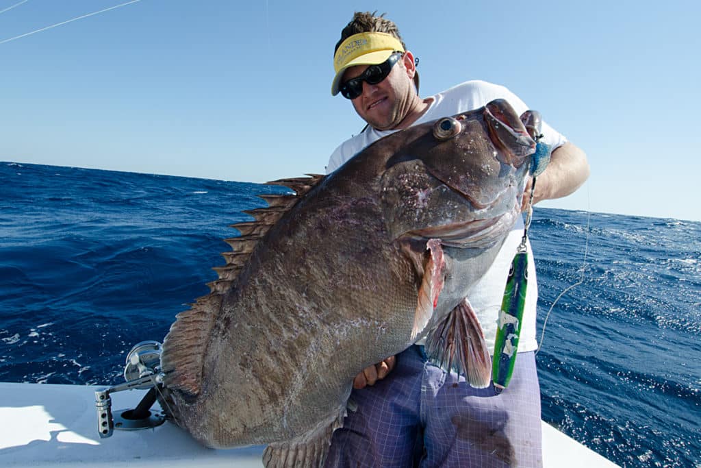 Monster Grouper and Tilefish of the Mid Atlantic