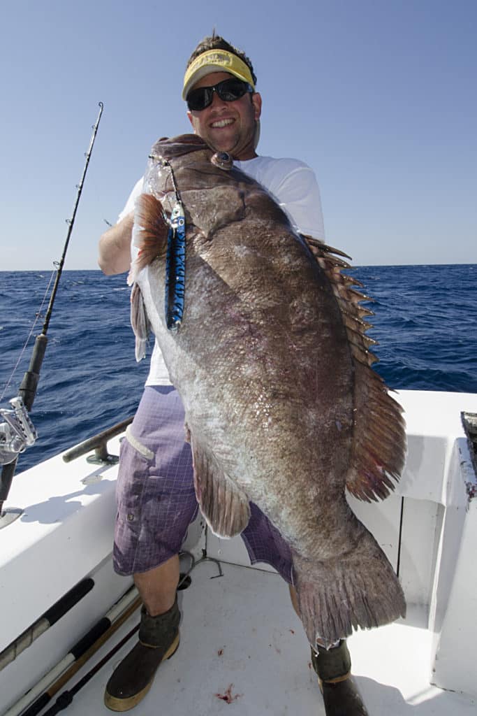 jigging for grouper