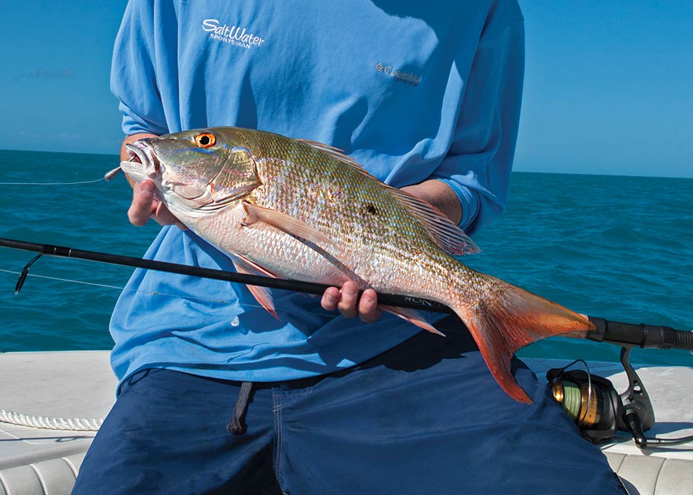 Gulf bottomfishing rules