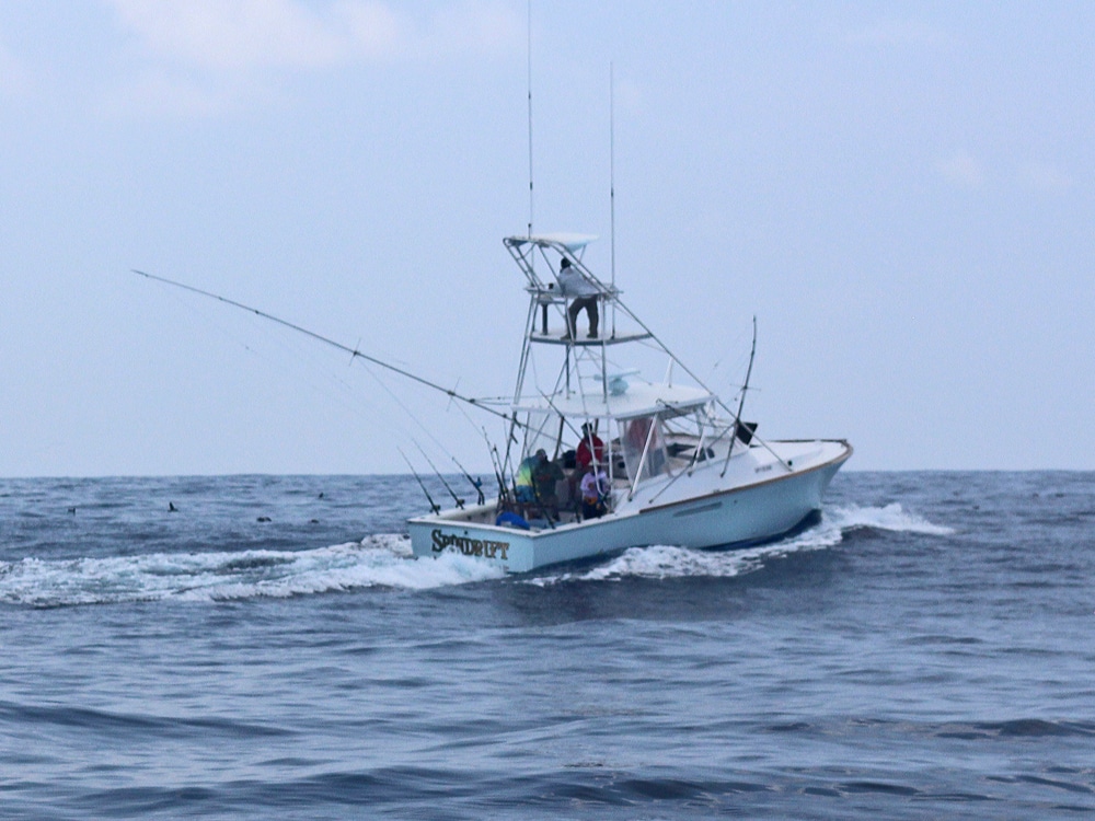 Spindrift, a popular game boat in Guatemala, trolls for billfish