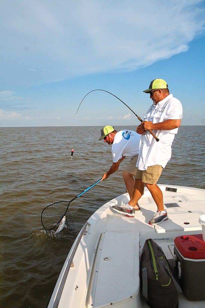 fishing for trout