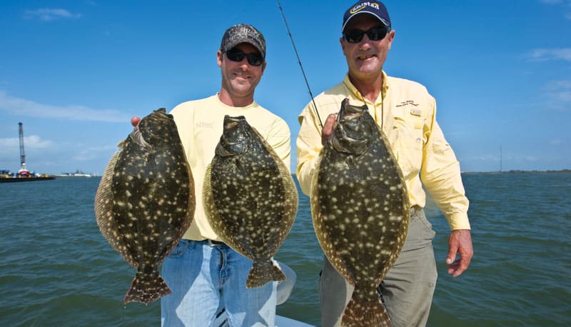 gulf-flounder-main.jpg