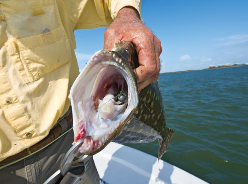 Calcasieu Lake's Flounder Girl- Fishing Gear & Small Channel