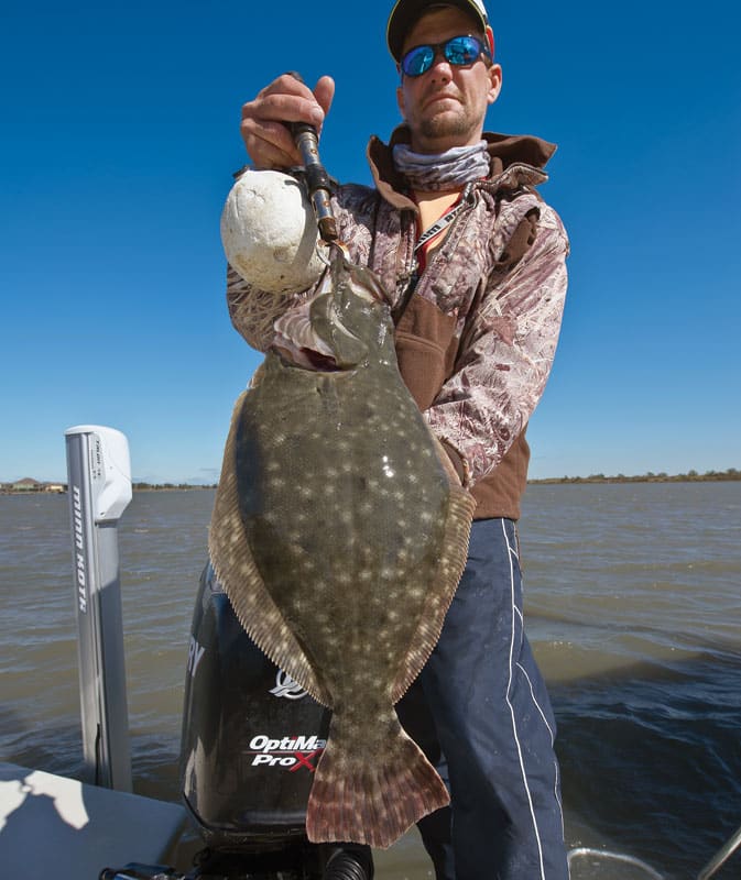 gulf-flounder-vert.jpg