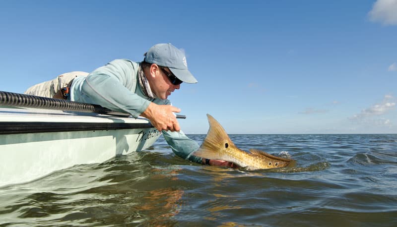 Fly-Fishing Nearshore in the Gulf of Mexico