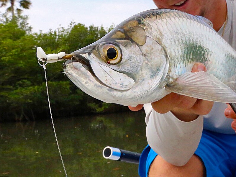 It's a good bet to use dark flies over dark bottom, and switch to white, chartreuse and other light shades over sand.