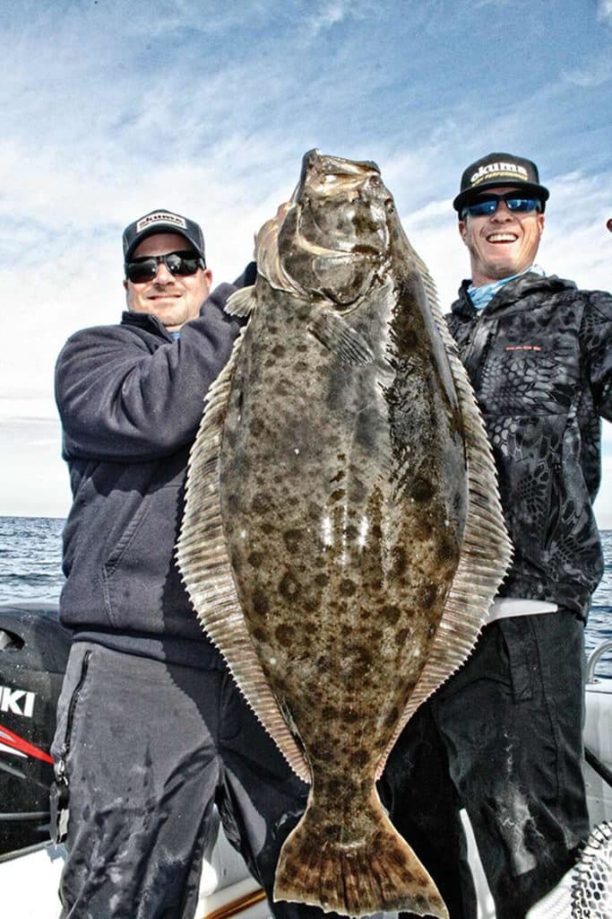 California halibut fishing