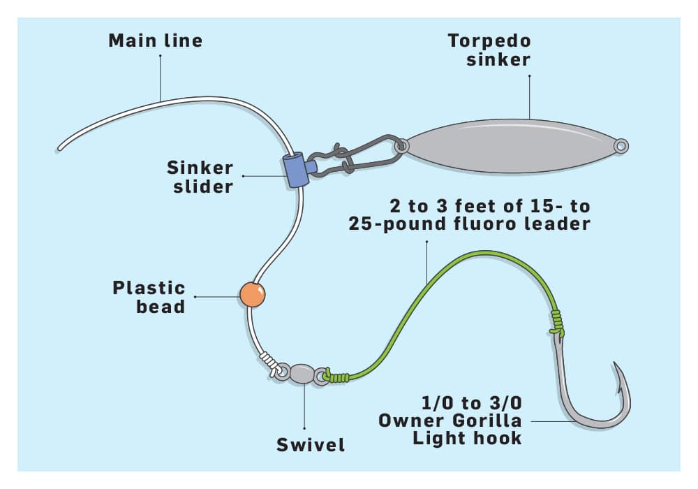 California Halibut Fishing Tips, Halibut Rigs