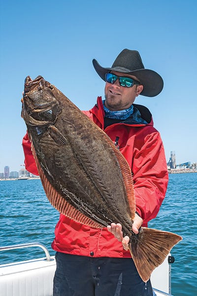 California halibut