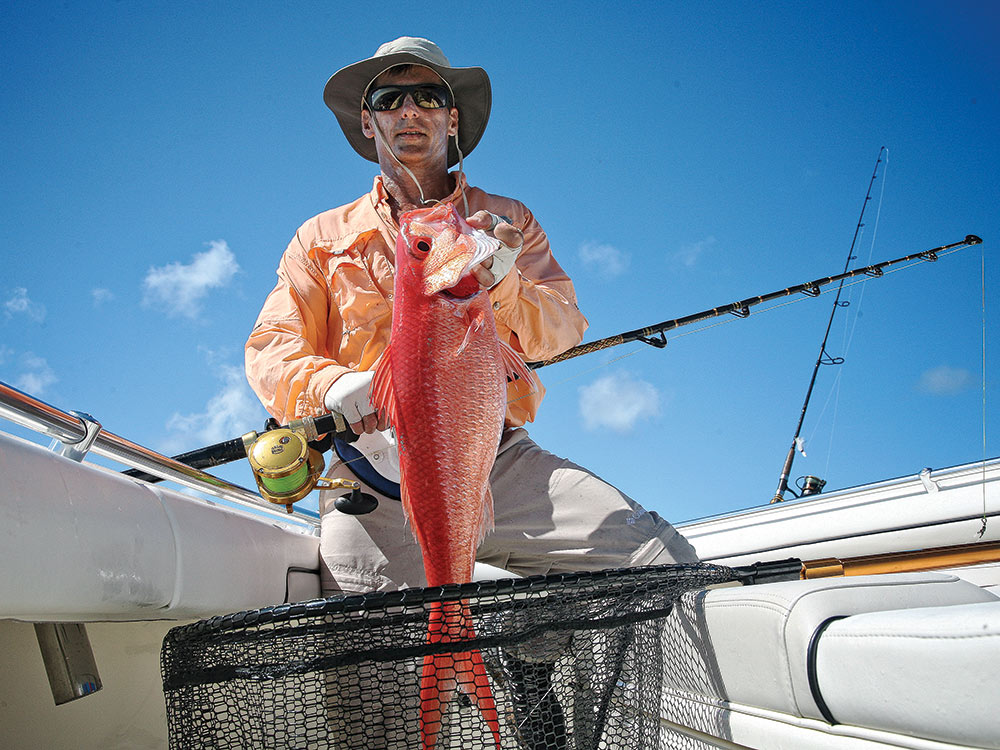 red snapper