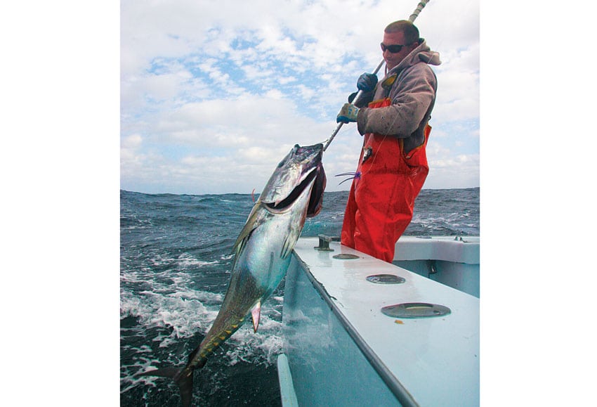 hatteras-tuna-boatside.jpg