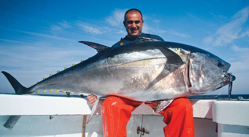 hatteras-tuna-main.jpg