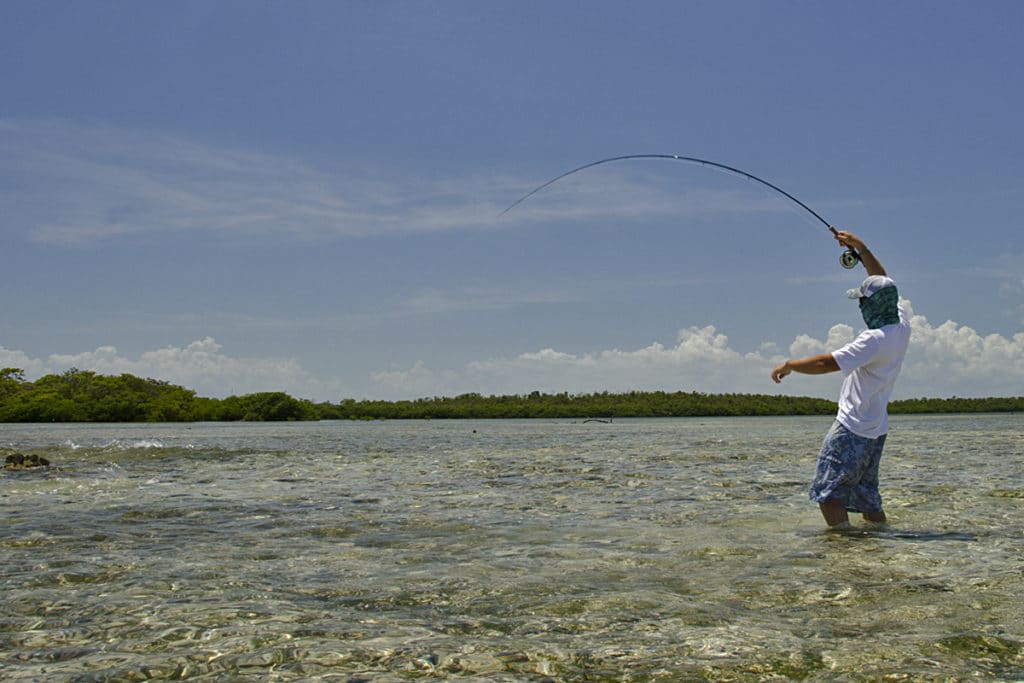 Bahamas flats water