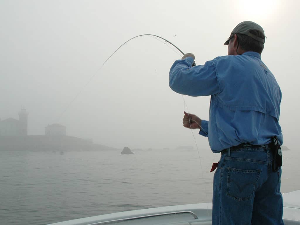 Inshore or offshore, dredging tactics catch fish holding deep.