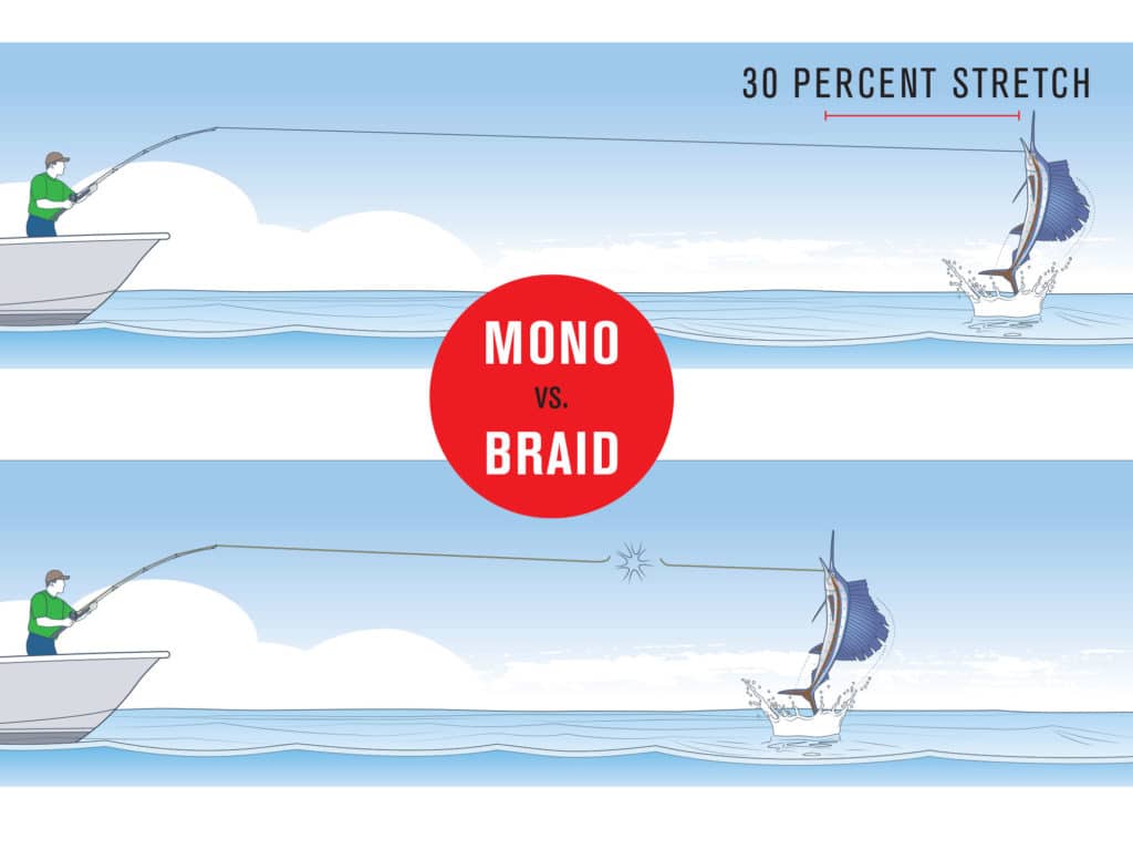 Mono vs. braid