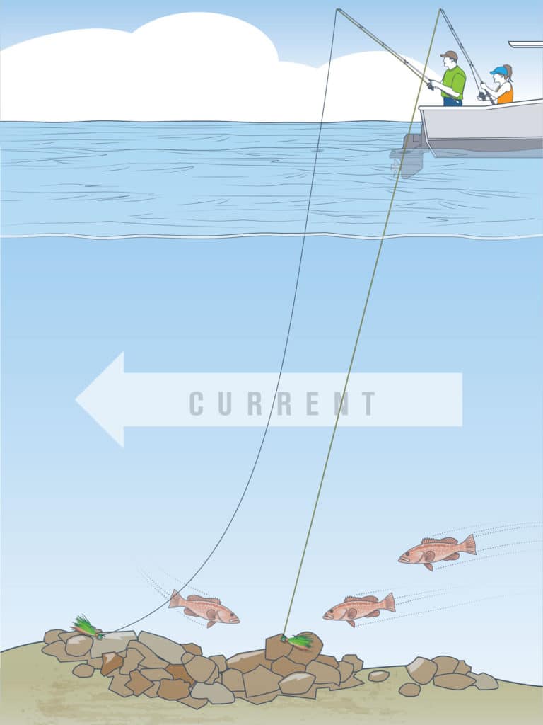 Bottomfishing illustration