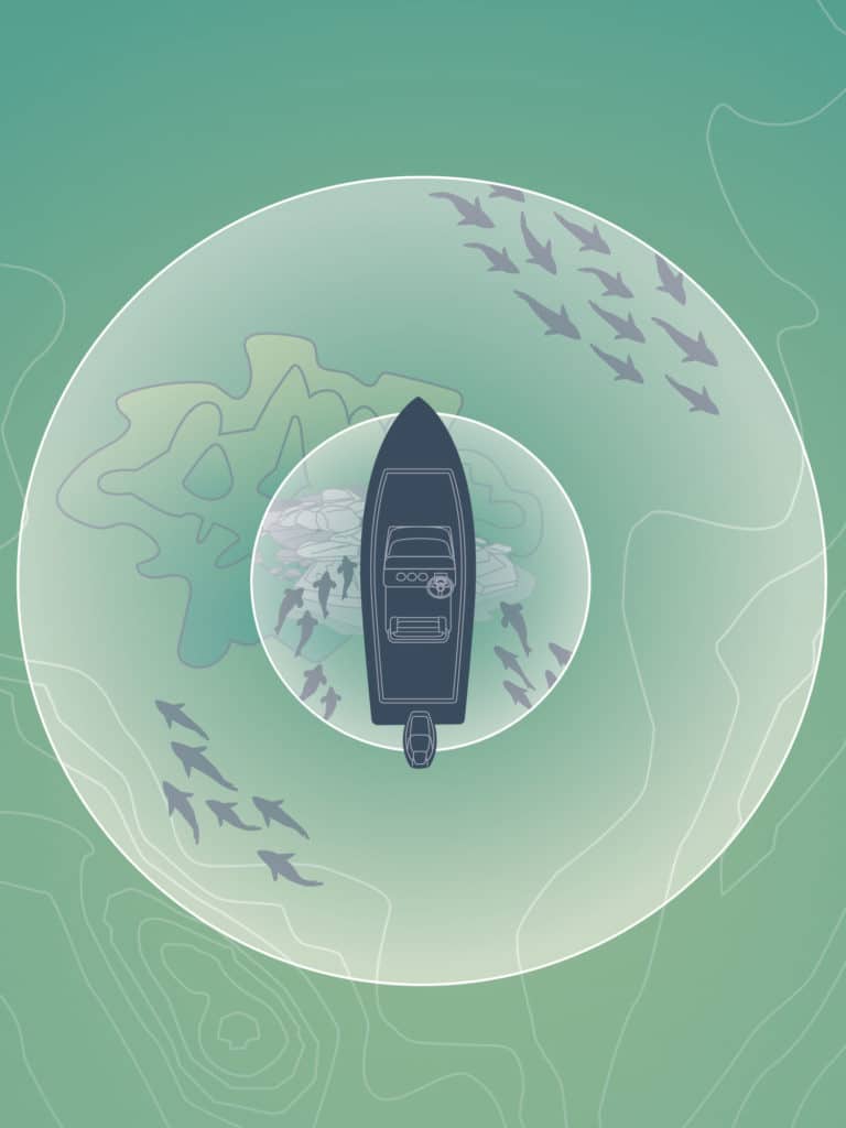 transducer angle illustration