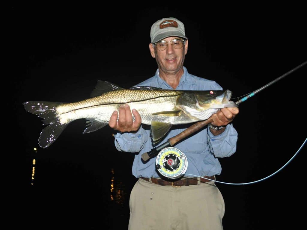 Snook lurk around dock lights in hopes of ambushing shrimp and baitfish.