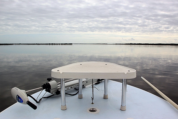 Redfish Mosquito Lagoon Waters