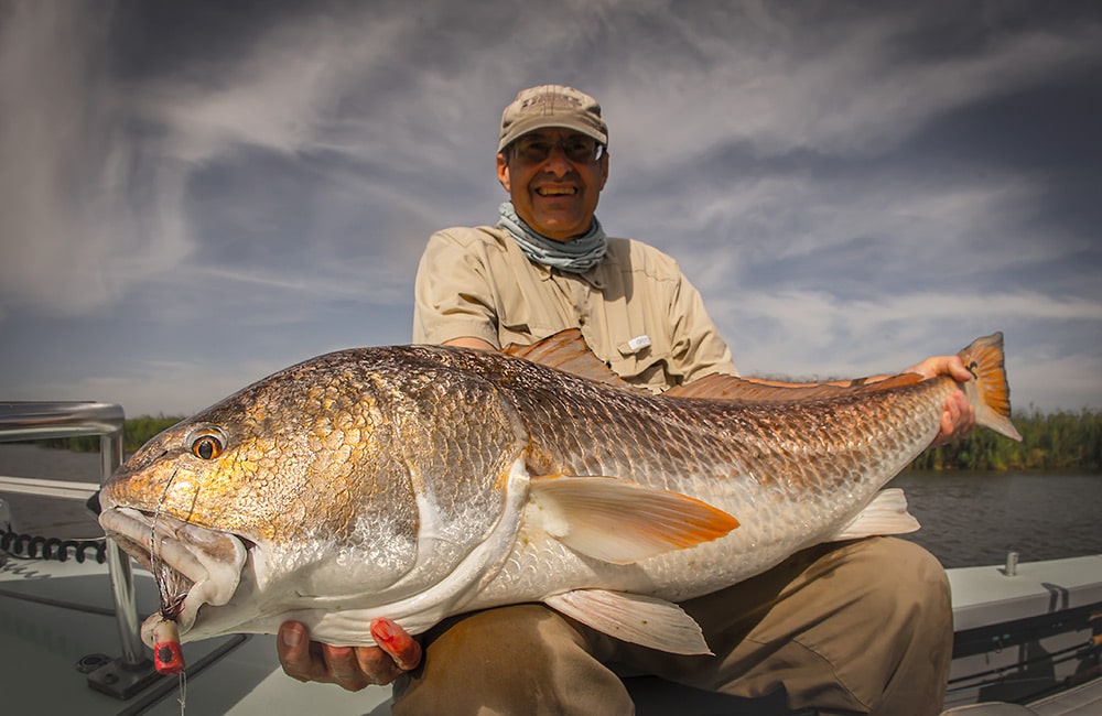 Bull redfish in Louisiana's shallows readily take flies