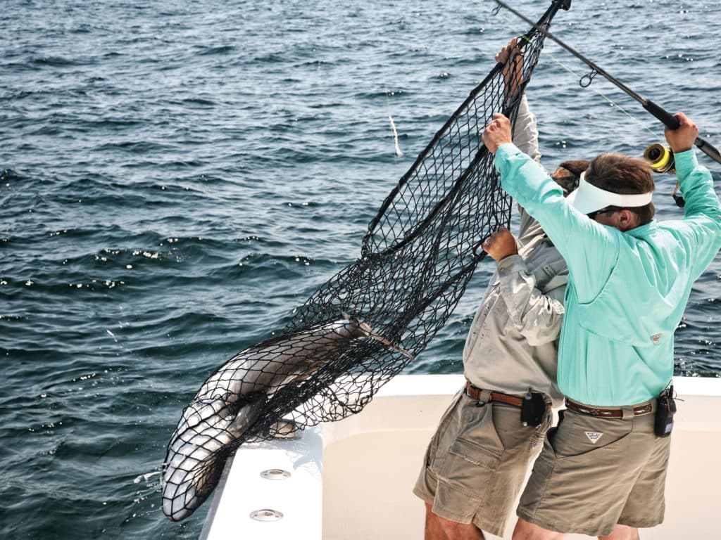 Expert Light-Tackle Strategies for Saltwater Fishing