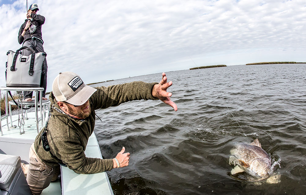 Bull redfish are available in Louisiana year-round