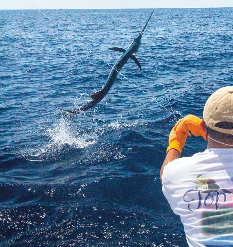 sailfish jumps out of the water off Costa Rica