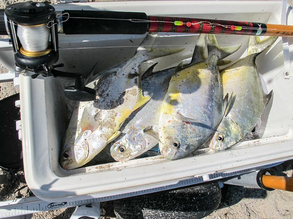 Surf Fishing for Pompano