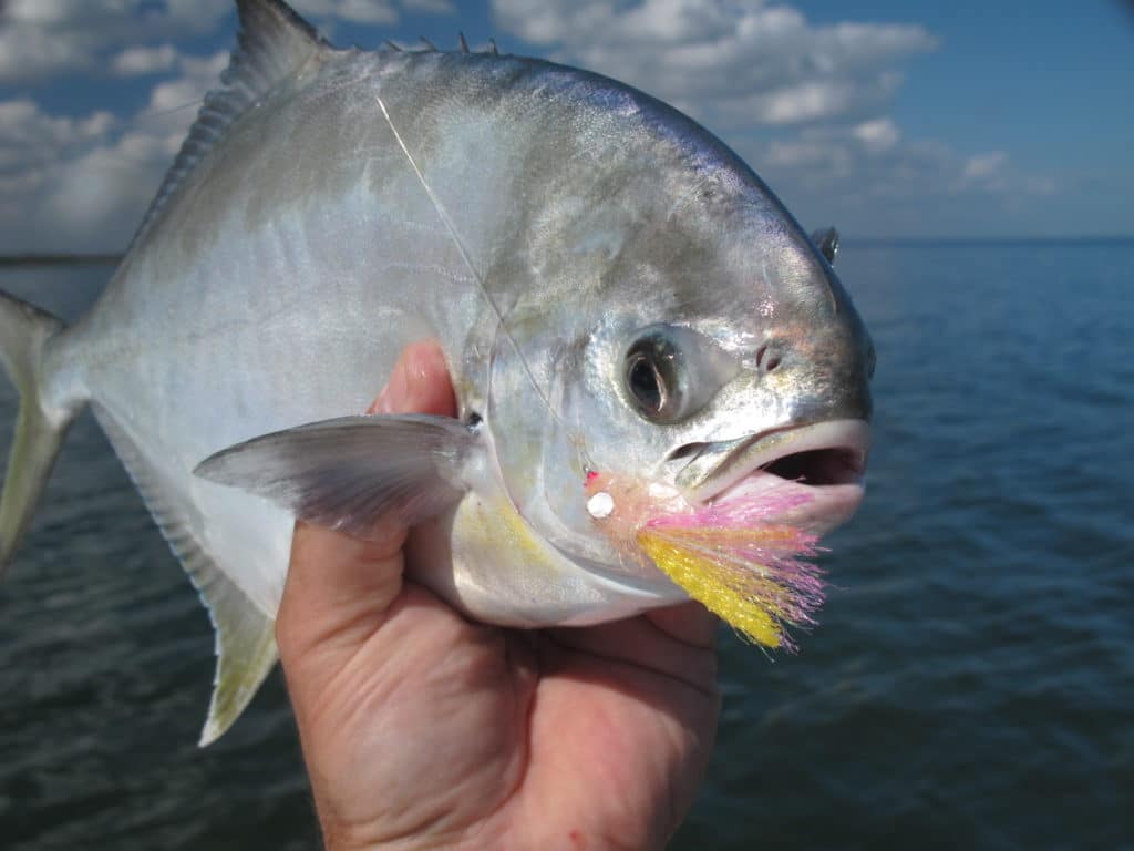 Substitute bead chain for the lead dumbbells of your pompano flies for sight-casting in the shallowest water.