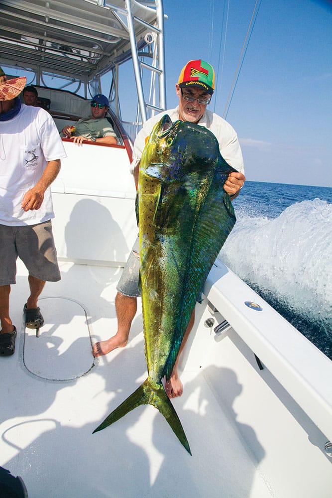 big mahi mahi catch off Costa Rica