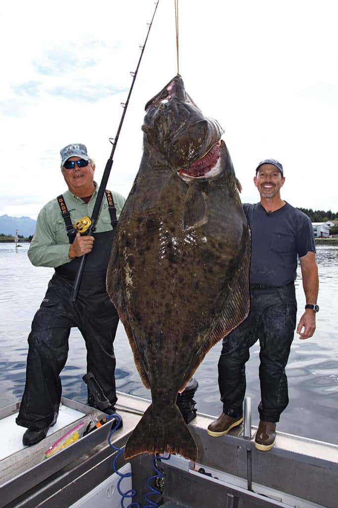 Alaska halibut