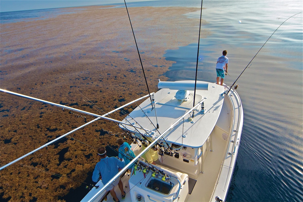 Center Console Fishing Boats, Rigging Your Center Console