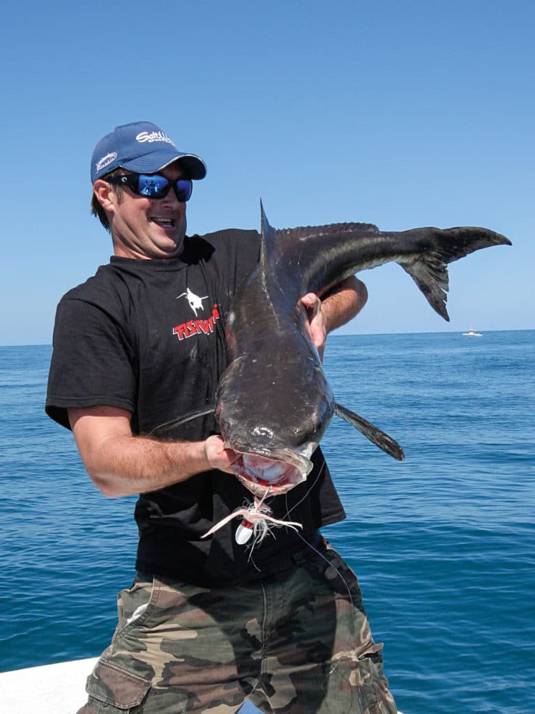 Jigs remain the favorite cobia catchers, but presentation must be right.