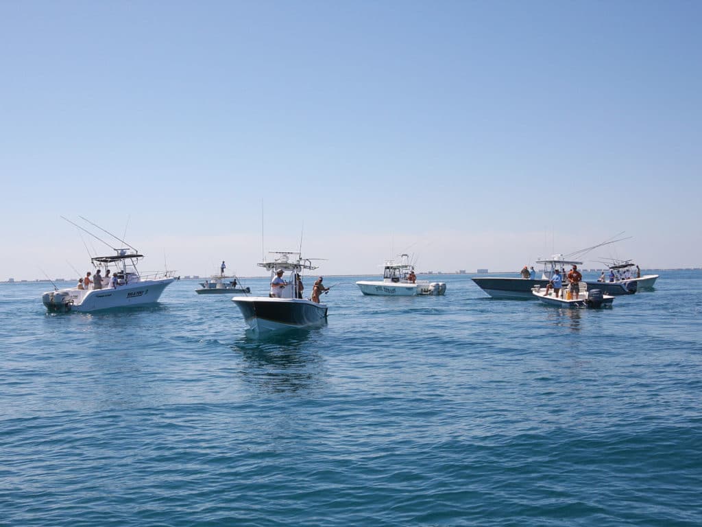 When cobia move down the beach, the word spreads quickly.