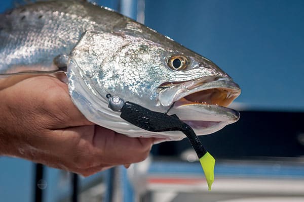 Mississippi Gulf Coast fishing