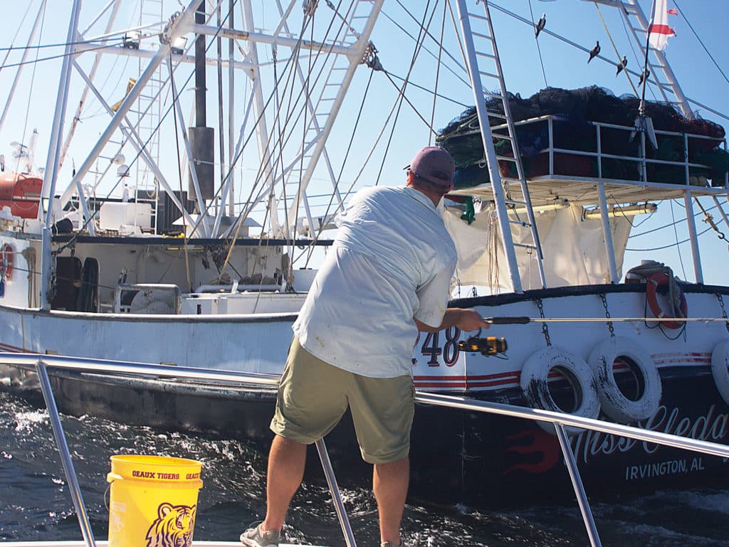 Predators soon associate the shrimp boats with the bycatch they dump in the water.