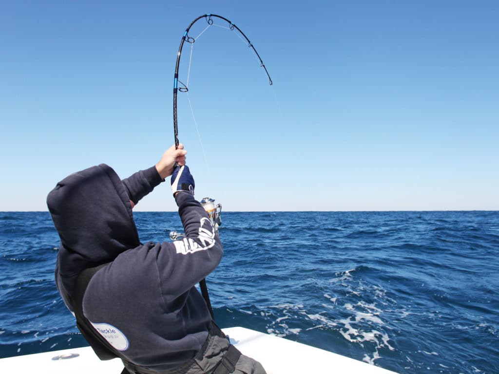 7' Medium Spinning Rod For Inshore Saltwater Fishing