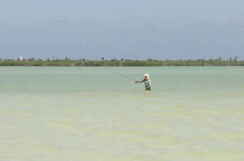 inshore-fly-fishing-04.jpg