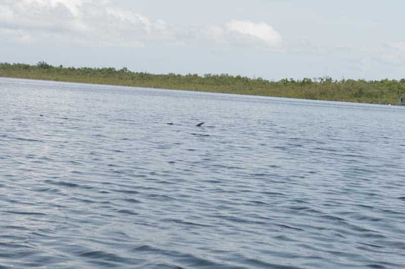 inshore-fly-fishing-05.jpg