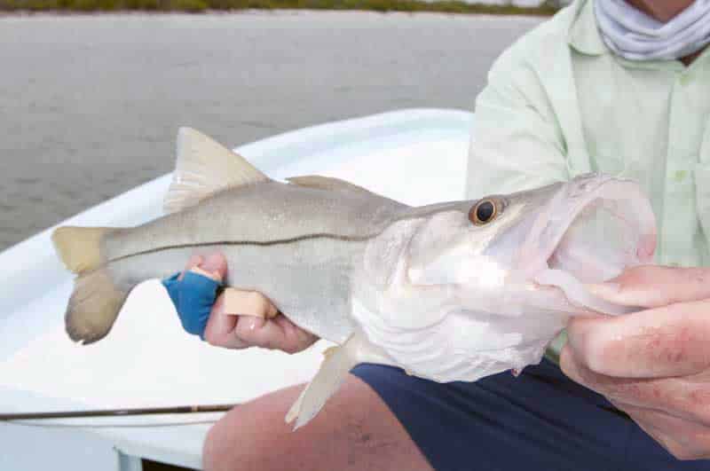 inshore-fly-fishing-09.jpg