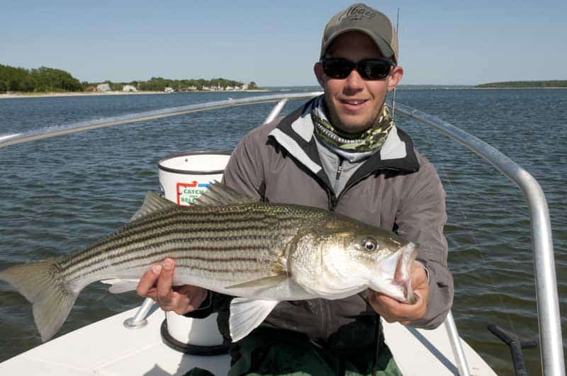 inshore-fly-fishing-14.jpg