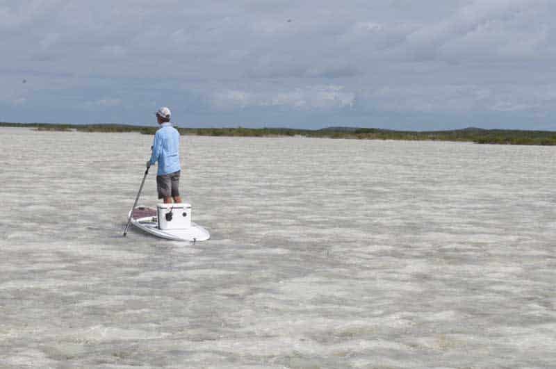 inshore-fly-fishing-28.jpg