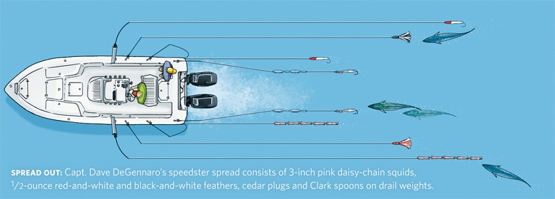 jersey-albies-diagram.jpg