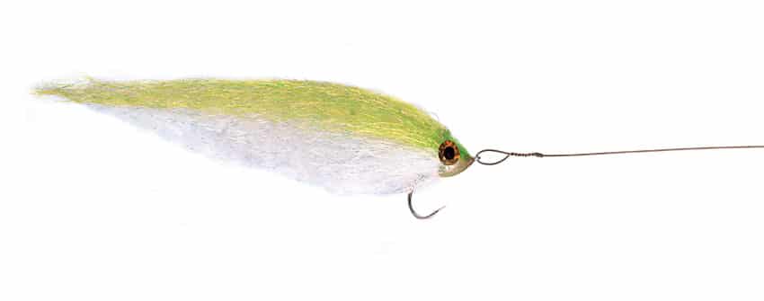 jersey-bluefish-fly.jpg