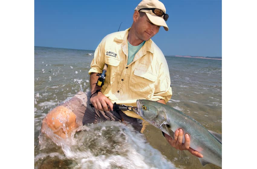 jersey-bluefish-release.jpg